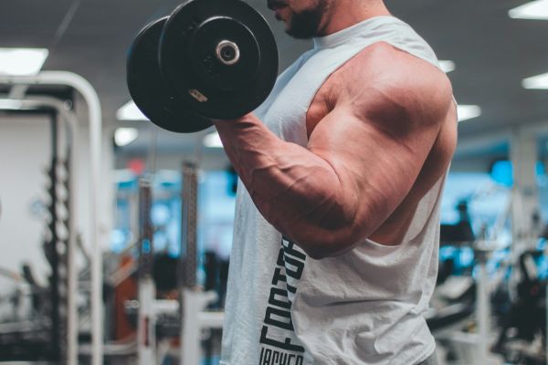 Comment bien choisir son gainer prise de masse ?